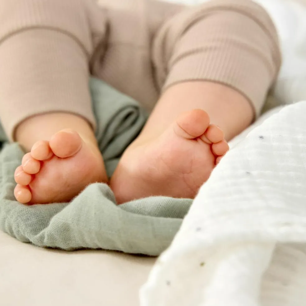 Lot de 3 langes mousseline GOTS Feuille (85 x 85 cm)