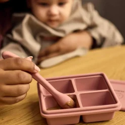 Lot de 2 moules de conservation Rose