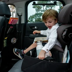 Lot de 2 pare-soleil à ventouse