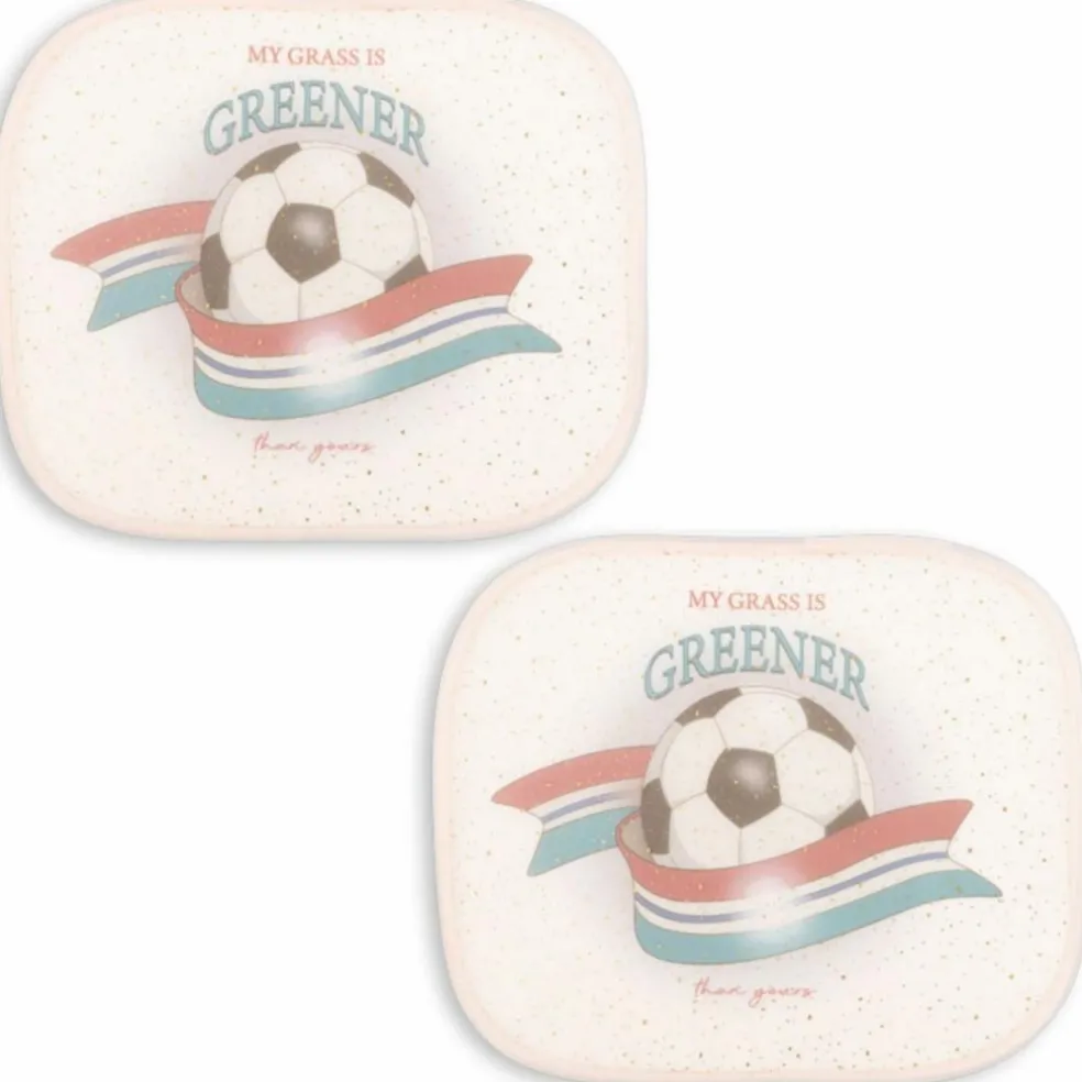 Lot de 2 pare-soleil voiture