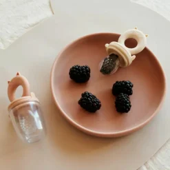 Lot de 2 sucettes grignoteuses Miranda tuscany rose