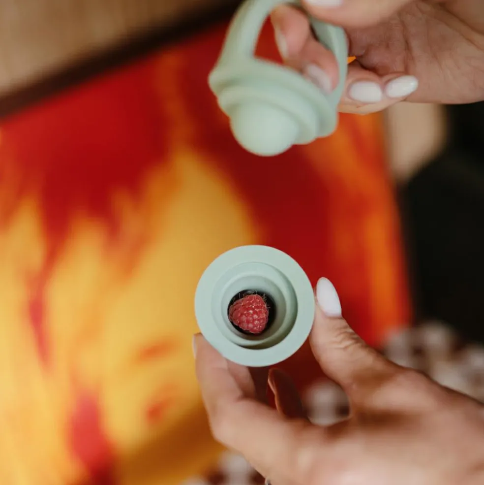 Lot de 2 sucettes grignoteuses en silicone Sage