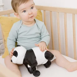 Luca le Panda Les Animaux Musicaux