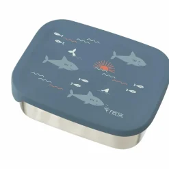 Lunch box Shark