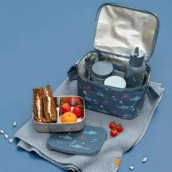 Lunch box Shark