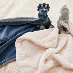 Ma première couverture Ops le tricératops TSO