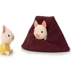 Maison du loup et des 3 petits cochons