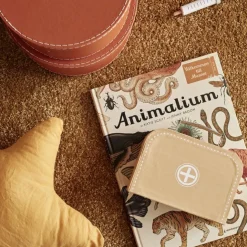 Mallette et accessoires de Docteur en bois