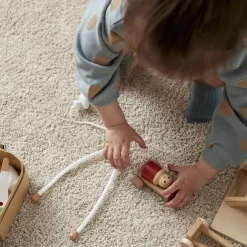 Mallette et accessoires de Docteur en bois