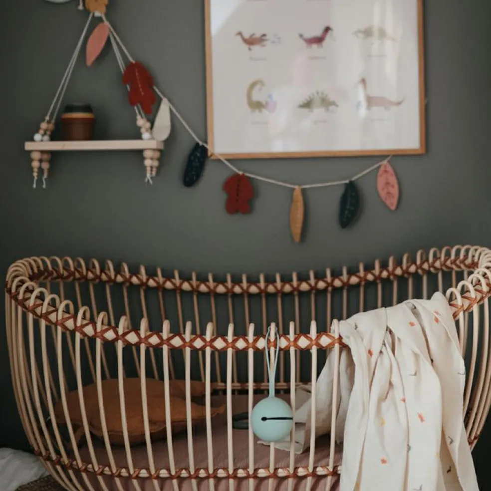 Maxi lange en coton bio Dinosaure (120 x 120 cm)