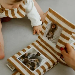 Mini album photo Rayures Larges (personnalisable)