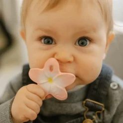 Mini jouet de dentition Bella the flower