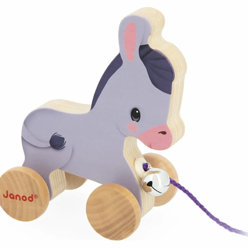 Âne à promener Ferme