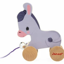 Âne à promener Ferme