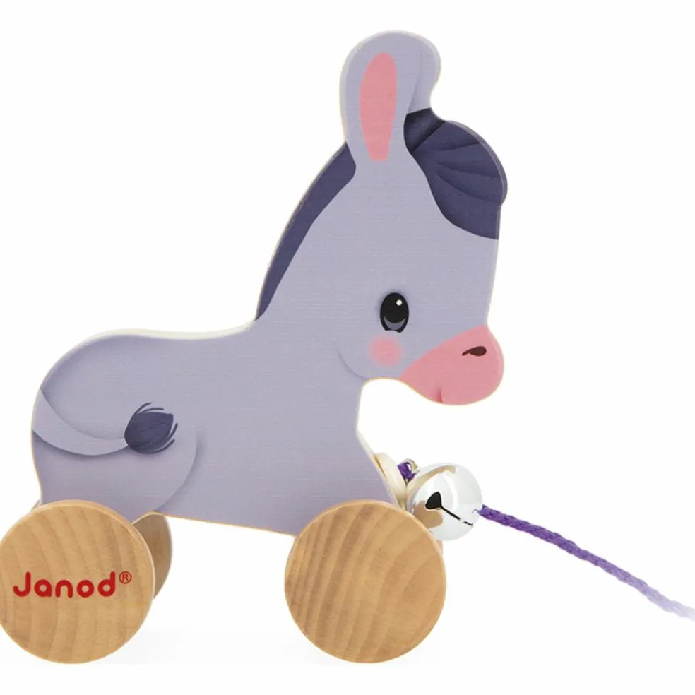 Âne à promener Ferme