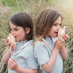 Paire de Talkie-Walkie Zoo Dino Pink