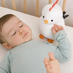 Paulette la Poule Les Animaux Musicaux