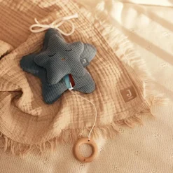 Peluche musicale Star Sea Green