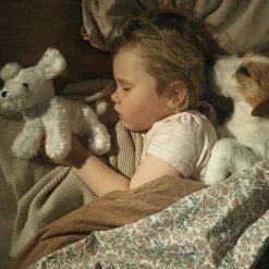 Petit chien avec son sac