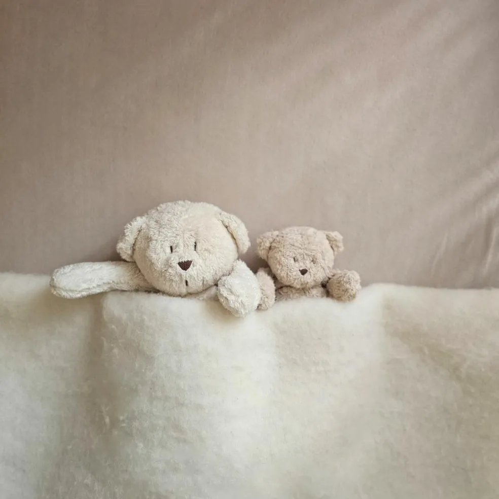 Petit ours sensoriel sable