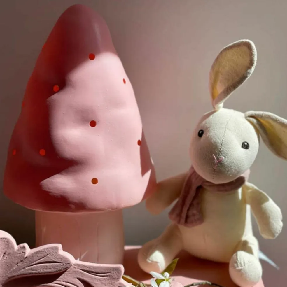 Petite lampe veilleuse champignon Cuberdon