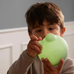 Petite veilleuse LED silicone Frey la grenouille