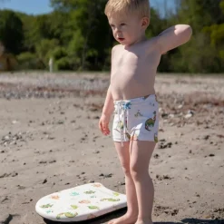 Planche de natation Dino Beach