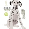 Planche sticker Dalmatien (35 x 45 cm)