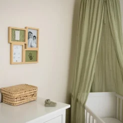 Pêle-mêle Olive Tree