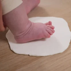 Pêle-mêle Olive Tree