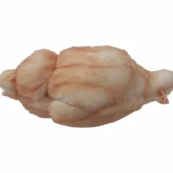 Porte-clé peluche Barbecue Conche de mer (8 cm)