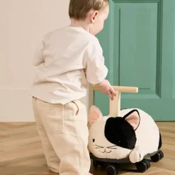 Porteur Chat Aiden