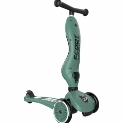 Porteur évolutif en trottinette Highwaykick 1 Forest