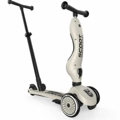 Porteur évolutif Highwaykick 1 Push and Go Ash