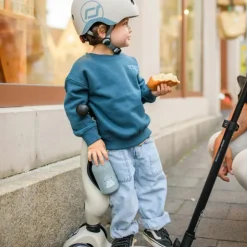 Porteur évolutif Highwaykick 1 Push and Go Ash