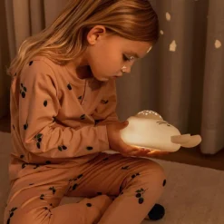 Projecteur lumineux Manuel Rabbit Sandy