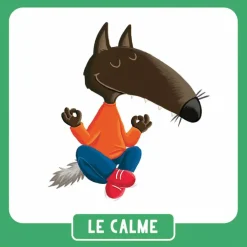 P'tit Loup - Mon mémo des émotions