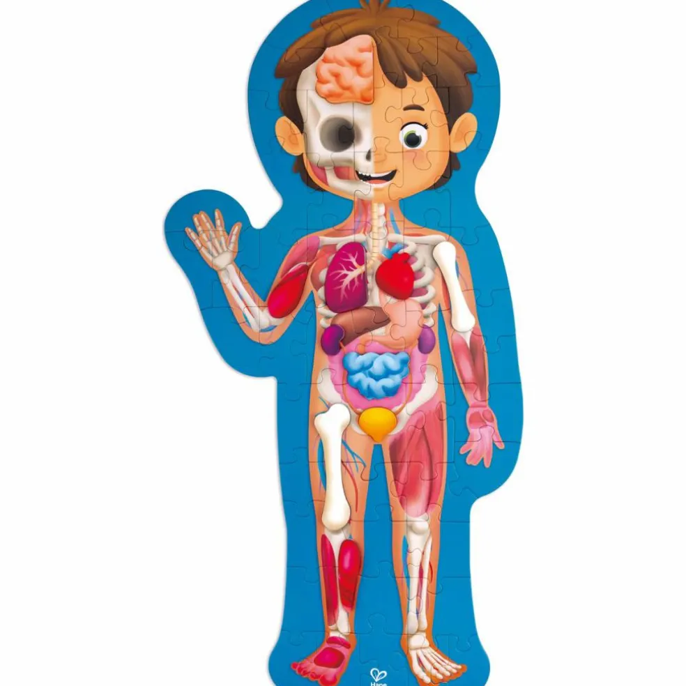 Puzzle corps humain (60 pièces)