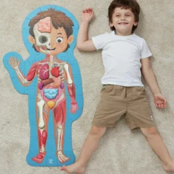 Puzzle corps humain (60 pièces)