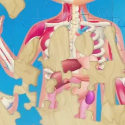 Puzzle corps humain (60 pièces) - Reconditionné