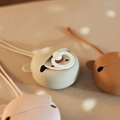 Range sucette en silicone Wild Rose