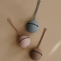 Range sucette en silicone Blush