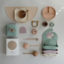 Range sucette en silicone Blush