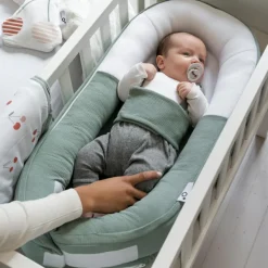 Réducteur Cocoon Tetra Green