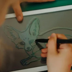 Recharge KIDYDRAW-MINI Thème : Pirates Princesses et Animaux Sauvages