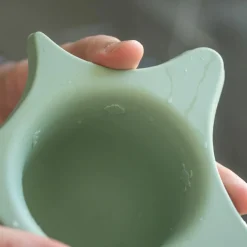 Rince tête Pistache