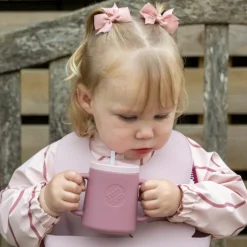 Set de 2 bavoirs Rose