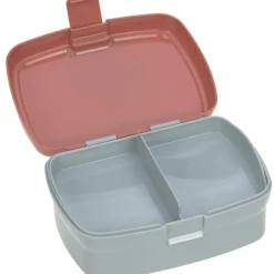 Set lunch box About Friends renard