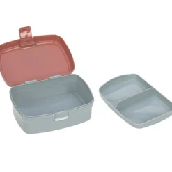 Set lunch box About Friends renard