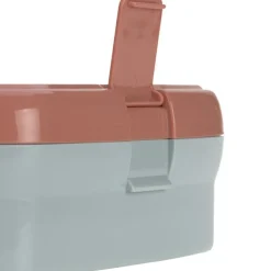 Set lunch box About Friends renard